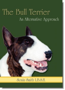 The Bull Terrier