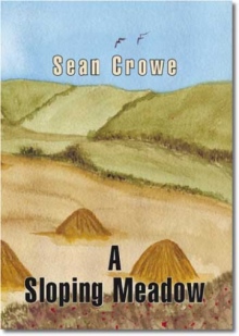 A Sloping Meadow