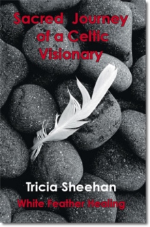 Sacred Journey of a Celtic Visionary