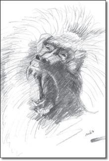 Mystories of the Savannah