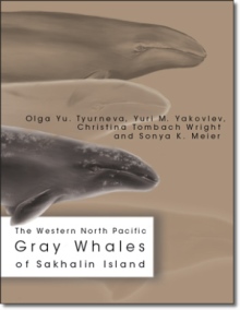 The Western North Pacific Gray Whales of Sakhalin Island