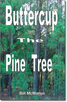 Buttercup the Pine Tree