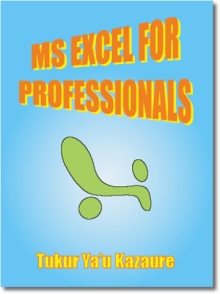 MS Excel for Professionals