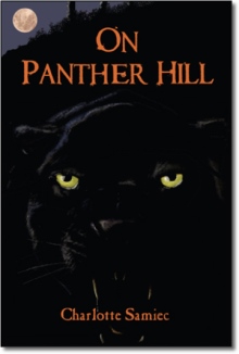On Panther Hill