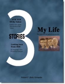 3 Stories