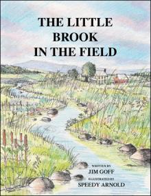 The Little Brook in the Field