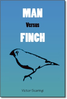 Man Versus Finch