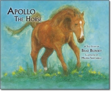 Apollo The Horse