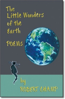 The Little Wonders of the Earth