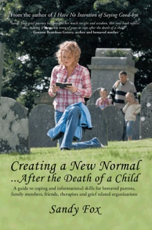 Creating a New Normal...After the Death of a Child