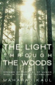 The Light through the Woods