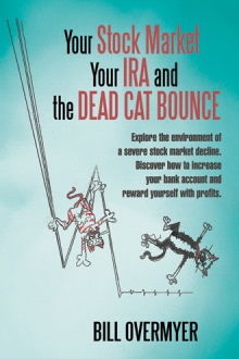 Your Stock Market Your IRA and THE DEAD CAT BOUNCE
