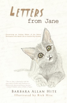 Letters from Jane