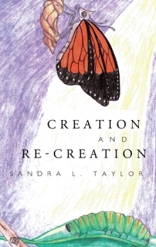 Creation and Re-Creation
