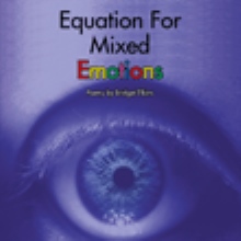 Equation For Mixed Emotions