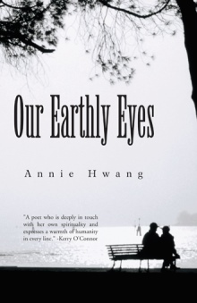 Our Earthly Eyes