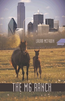 The M 6 Ranch