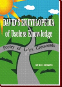 David's Encyclopedia of Useless Knowledge (Poetry of Life)