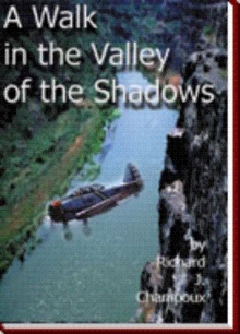 A Walk in the Valley of the Shadows