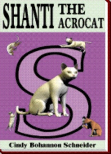 Shanti the Acrocat