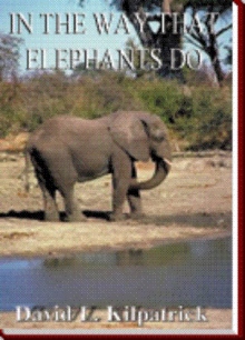 In The Way That Elephants Do