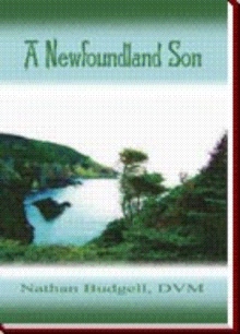 A Newfoundland Son