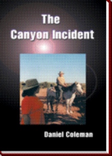 The Canyon Incident