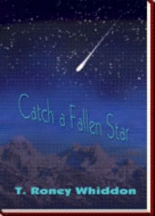 Catch a Fallen Star