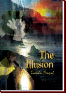The Illusion