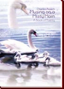 Musing on a Misty Morn