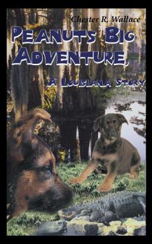 Peanuts Big Adventure, A Louisiana Story