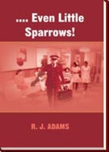 .... Even Little Sparrows!