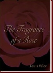 The Fragrance of a Rose