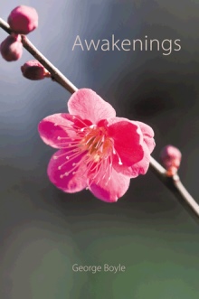 Awakenings