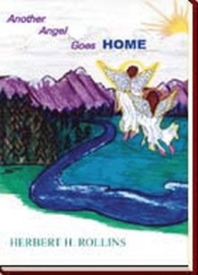 ANOTHER ANGEL GOES HOME