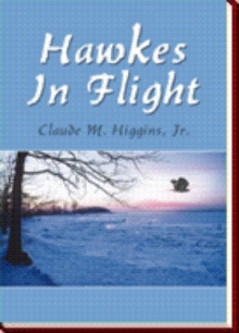 Hawkes In Flight