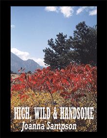 HIGH, WILD & HANDSOME