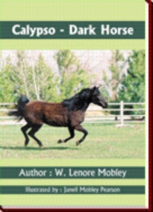 Calypso - Dark Horse