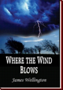 Where the Wind Blows