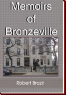 Memoirs of Bronzeville
