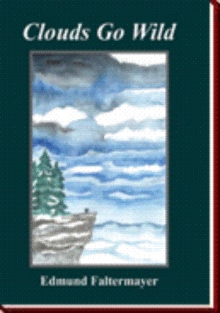 Clouds Go Wild