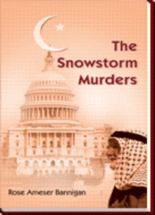 The Snowstorm Murders