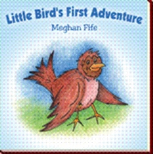 Little Bird's First Adventure