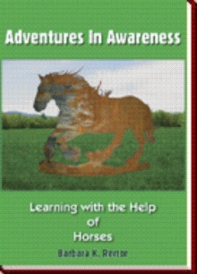 Adventures In Awareness