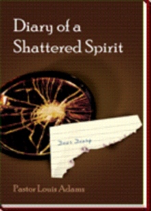 Diary of a Shattered Spirit