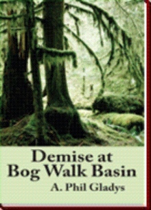 Demise at Bog Walk Basin