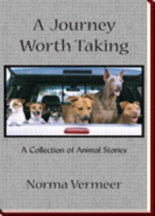 A Journey Worth Taking