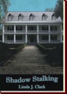 Shadow Stalking