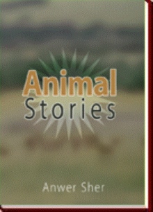 Animal Stories