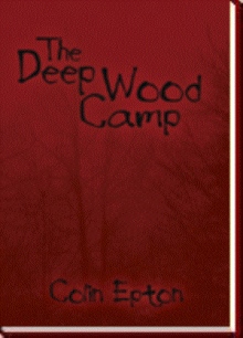 The Deep Wood Camp